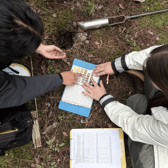 Environmental Engineering Best in Vapi & Gujarat | AP Green Enviro