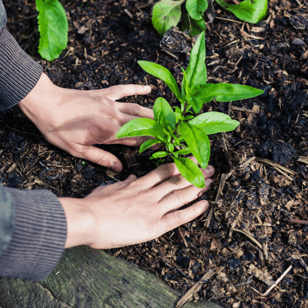 Environmental Engineering Best in Vapi & Gujarat | AP Green Enviro